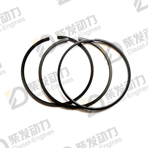 Piston ring kit 3826935